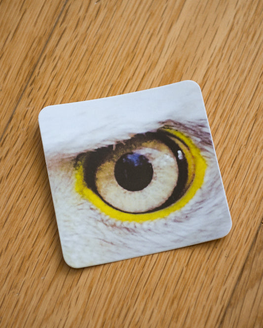 cgbuenEagleEyes sticker